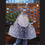 সাদা খিমার